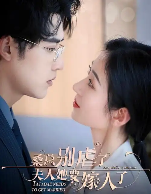 城南旧巷年代剧全集手机免费在线观看